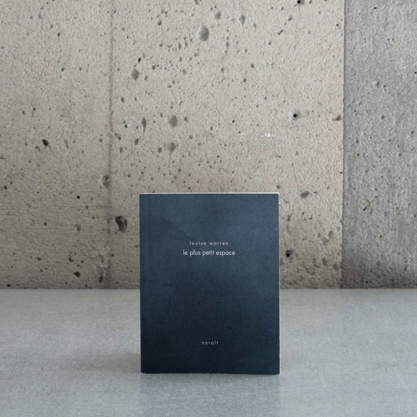 The Smallest Space - Louise Warren