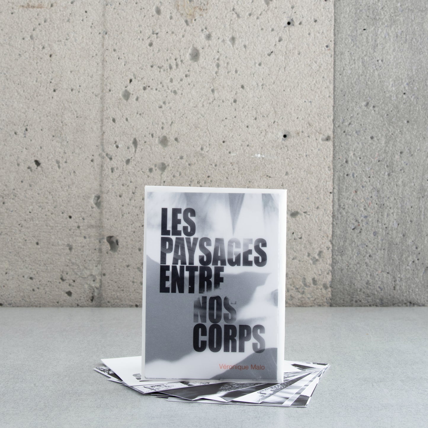 Les paysages entre nos corps - Véronique Malo