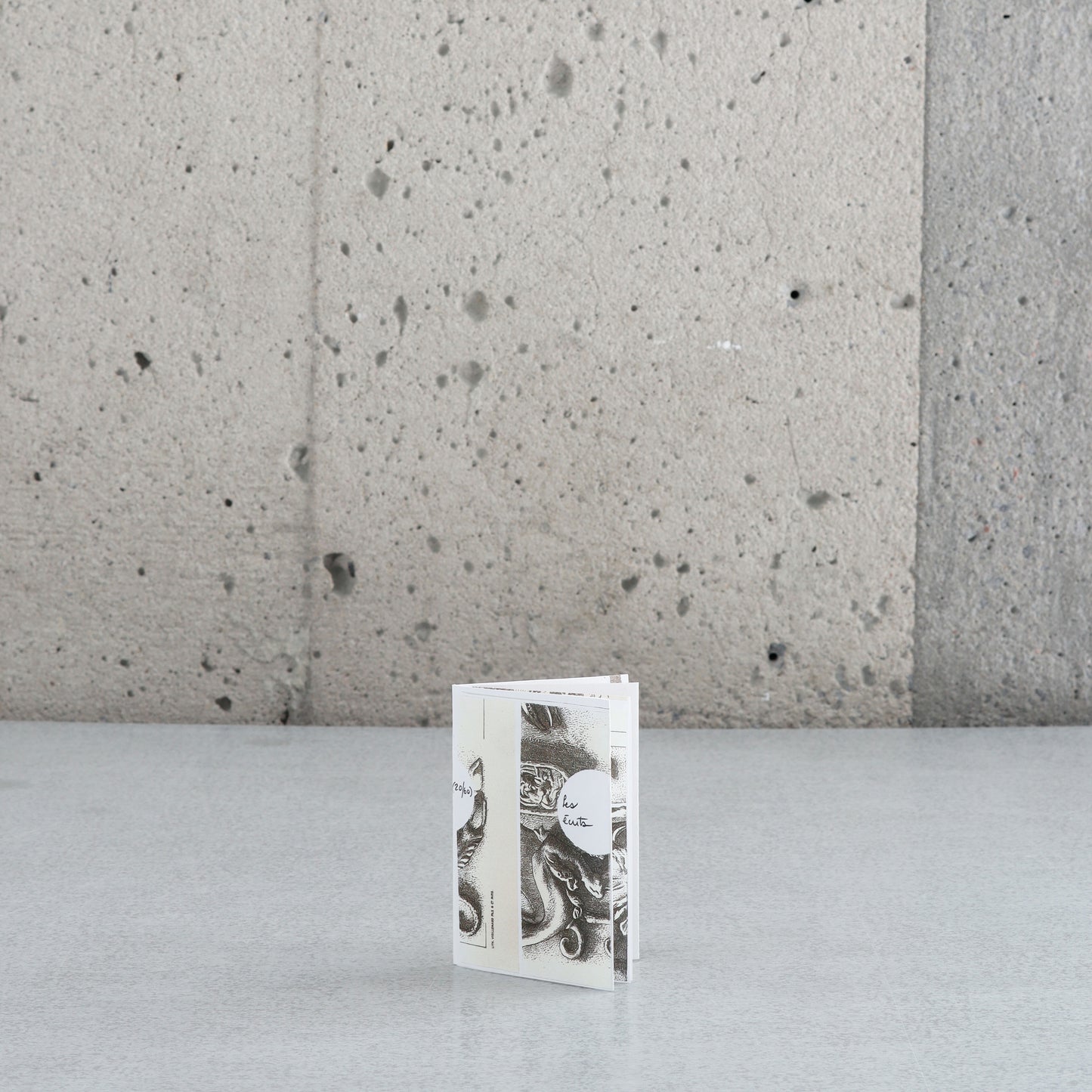 "Les écrits" - Elaine Fafard-Marconi