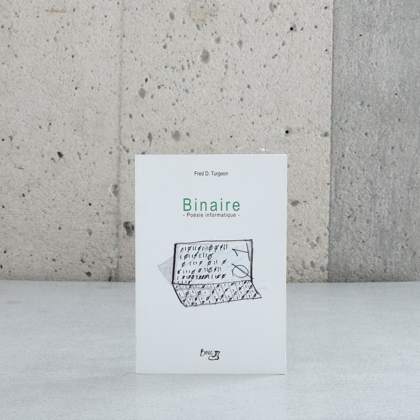 Binaire: Poésie informatique - Fred D. Turgeon