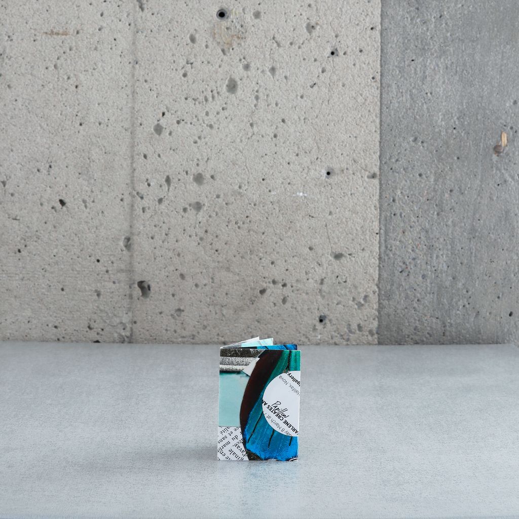 “Butterfly” – Elaine Fafard-Marconi