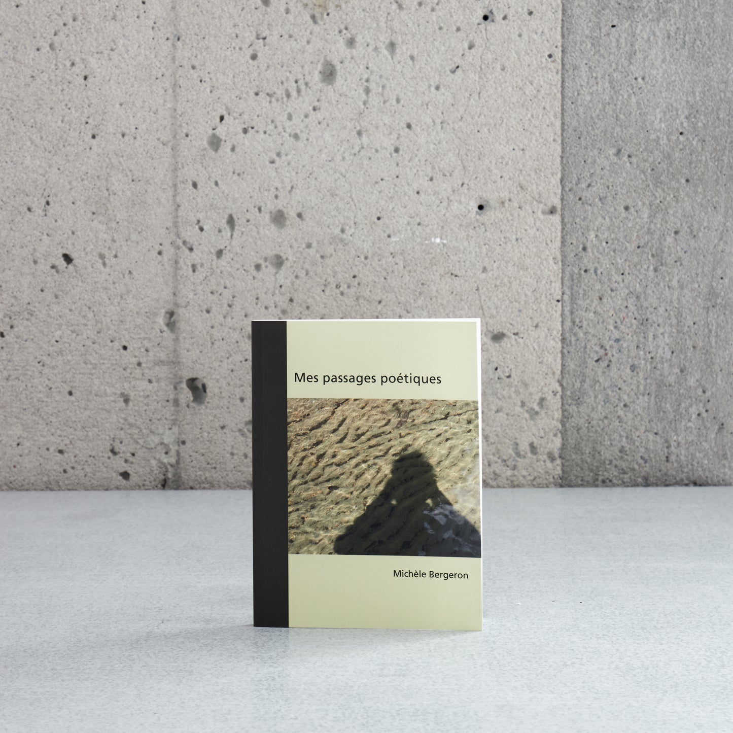 Mes passages poétiques - Michèle Bergeron