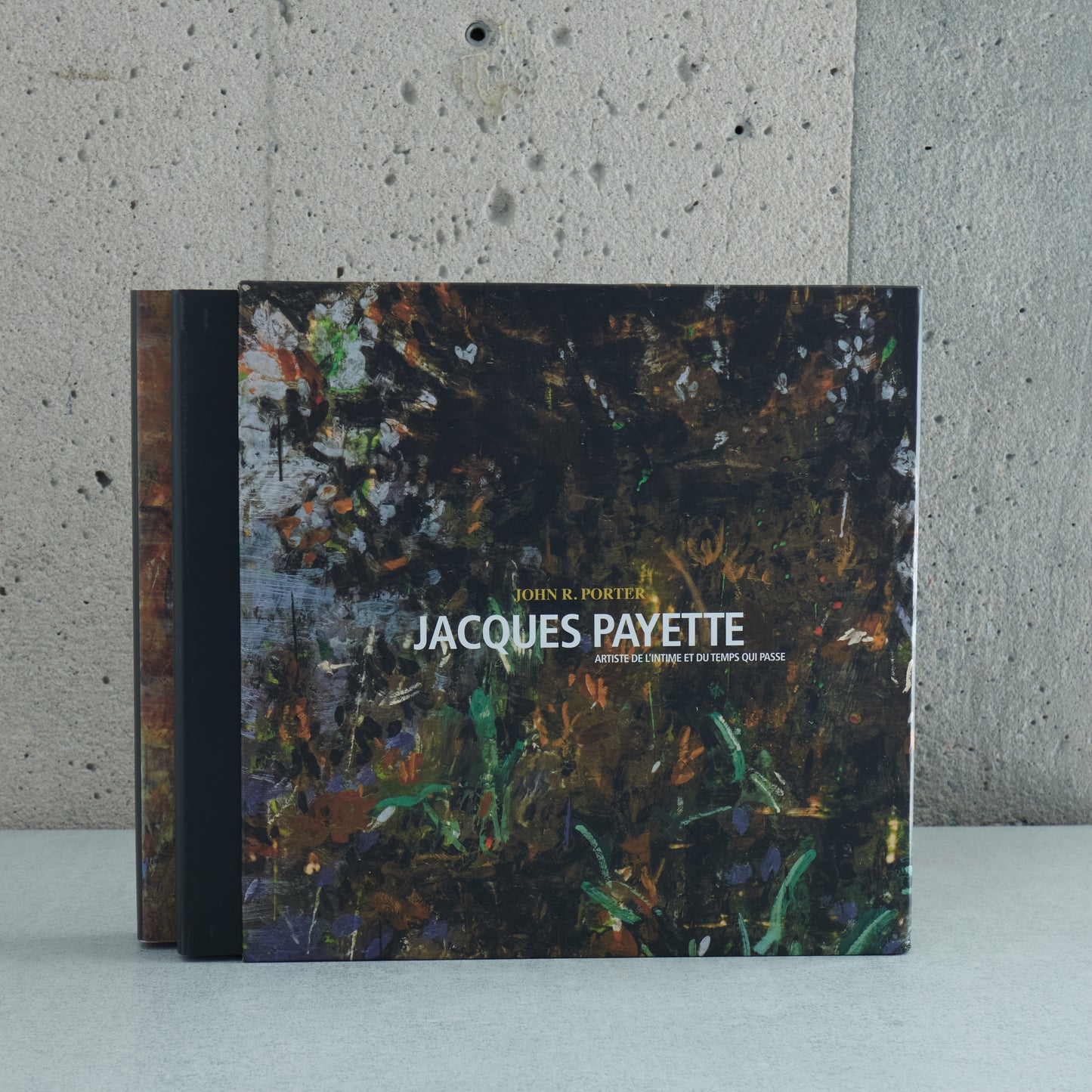 Coffret Jacques Payette: Artiste de l'intime et du temps qui passe
