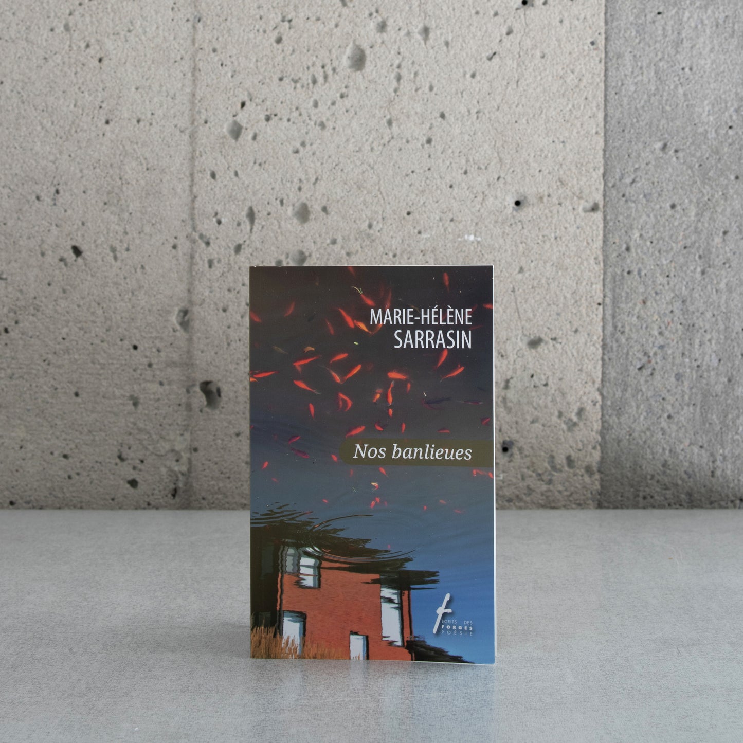 Nos banlieues - Marie-Hélène Sarrazin