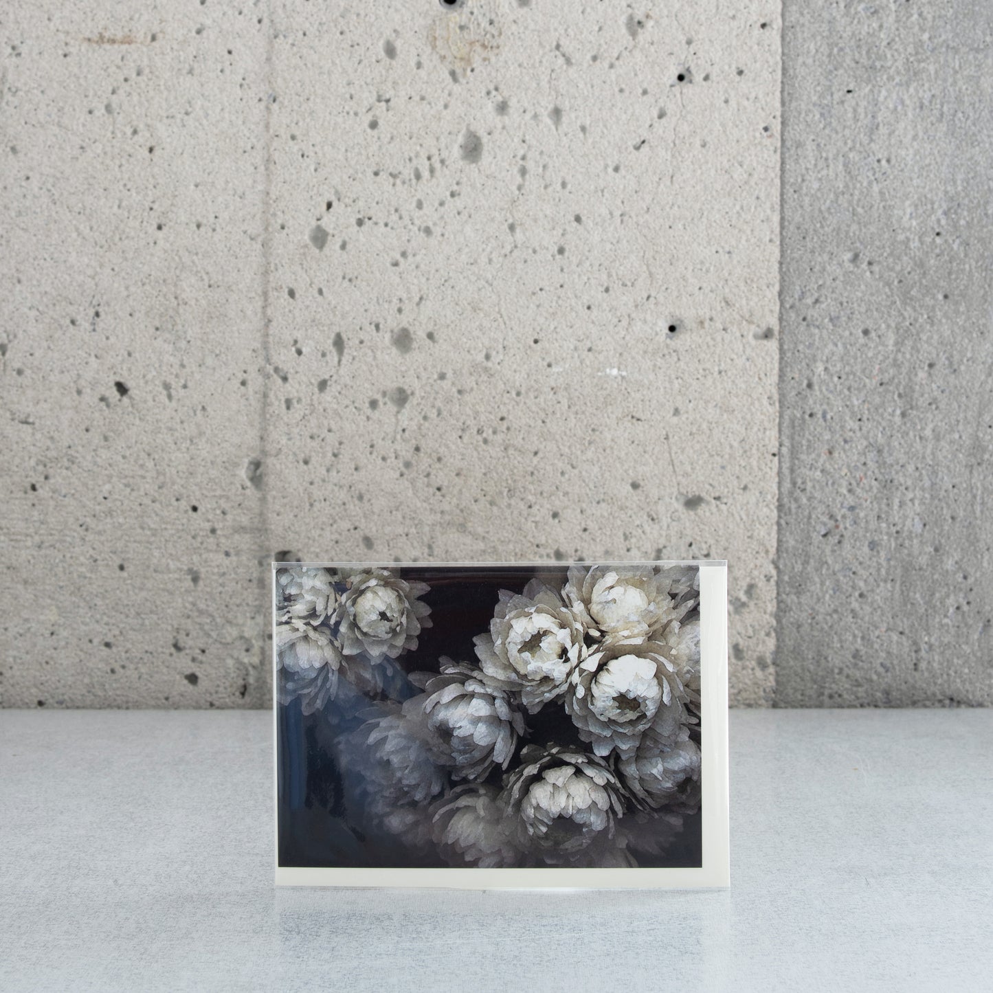 Carte pliée "Immortelle"