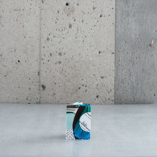 "Papillon" - Elaine Fafard-Marconi