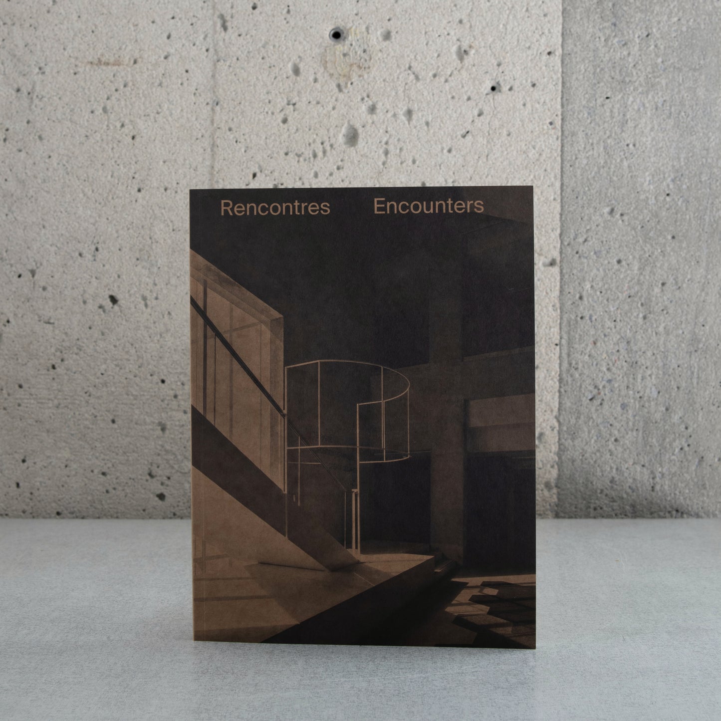 Chloé Desjardins: Rencontres/Encounters - Patrice Loubier , Chloé Desjardins , A