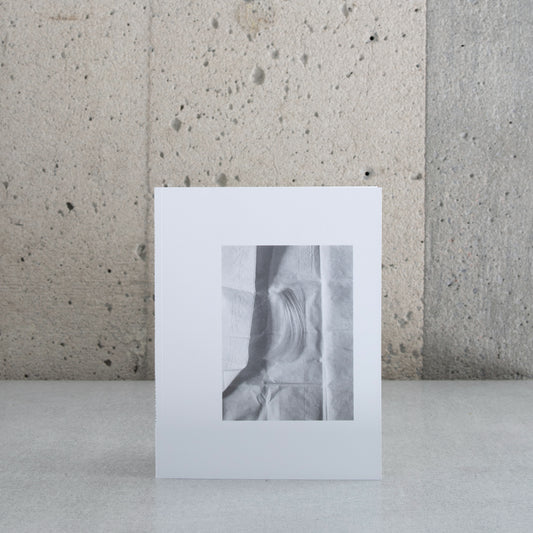 La mèche de cheveux et les fleurs - Vicky Sabourin