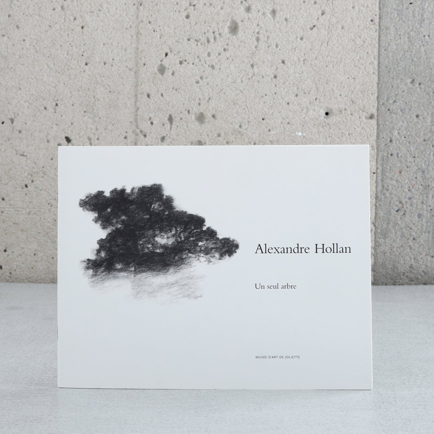 Alexandre Hollan: A Single Tree - Louise Warren