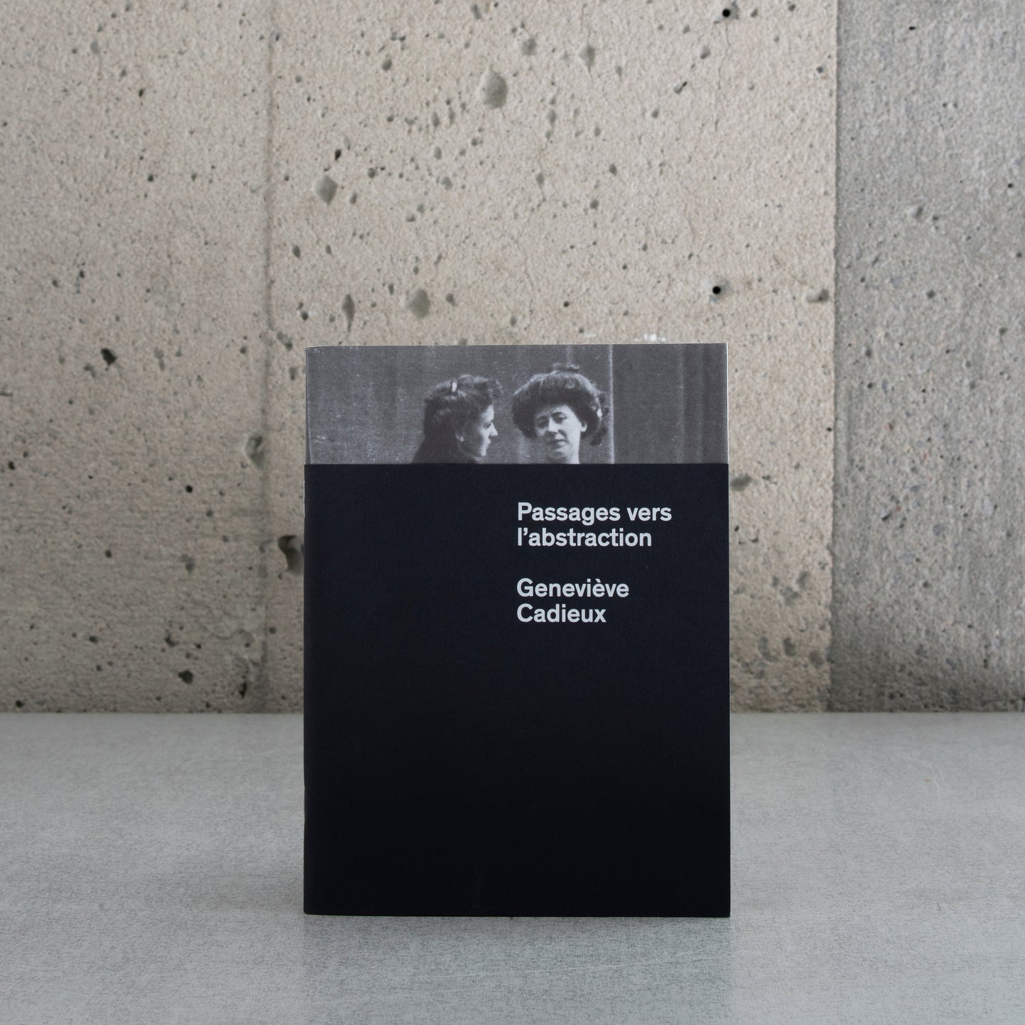 Passages vers l'abstraction : Geneviève Cadieux - Vincent Bonin