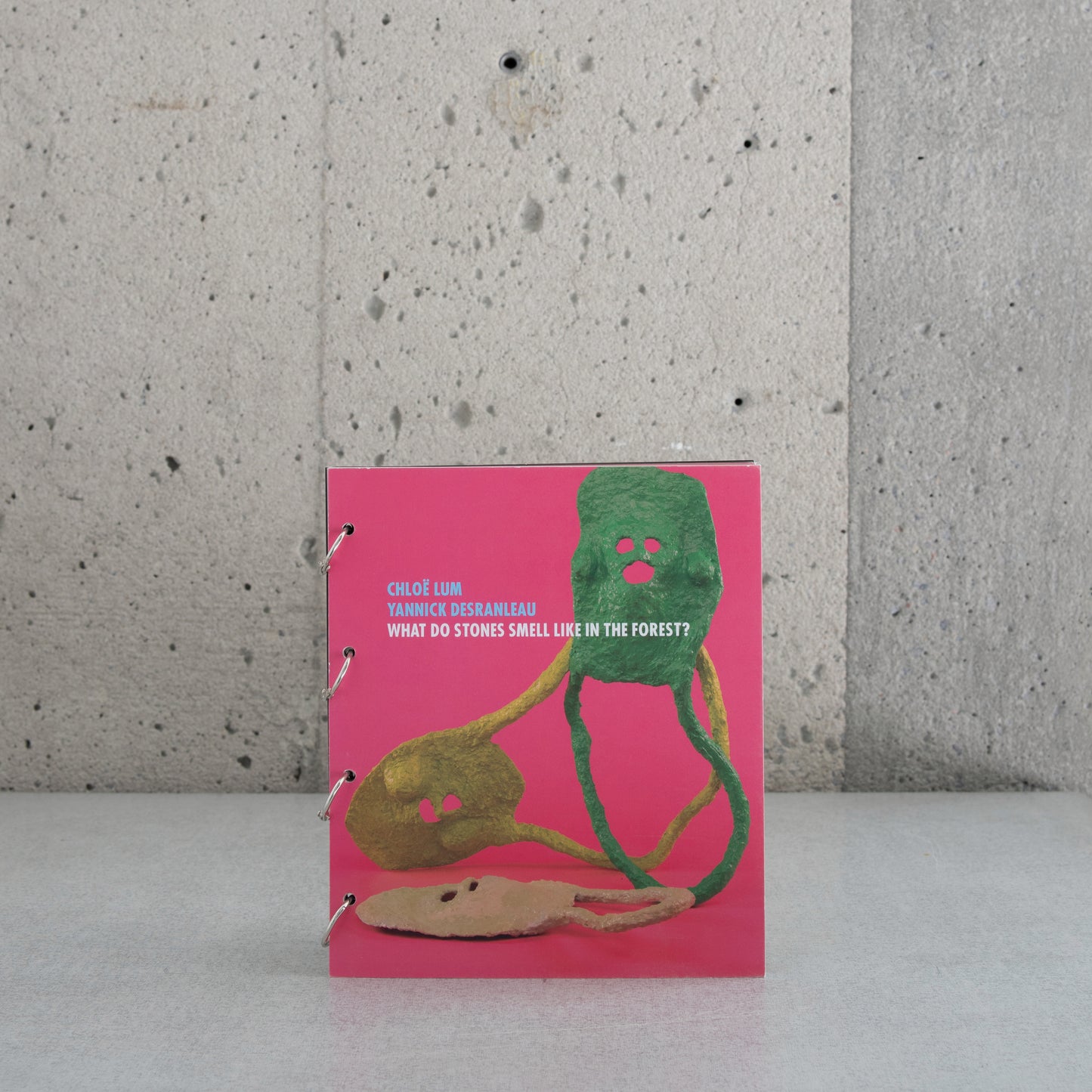 What do Stones smell like in the forest - Chloë Lum, Yannick Desranleau