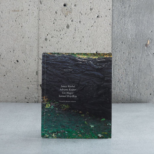 Burrow/Terrier - Shannon Anderson, Janice Kerbel , Adriana Kuiper, Liz Magor, Sa