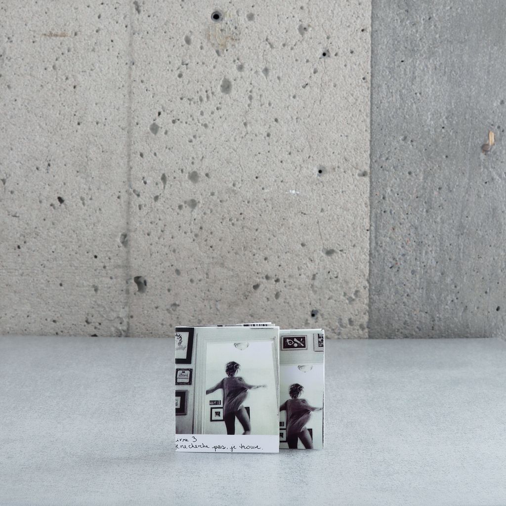 "Je ne cherche pas je trouve, livre 3" - Elaine Fafard-Marconi