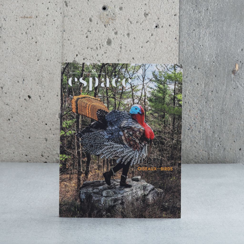 Espace 137 - Oiseaux/Birds (PrinÉté2024)