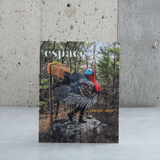 Espace 137 - Oiseaux/Birds (PrinÉté2024)