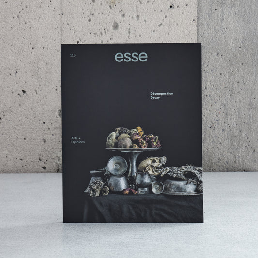 Esse n°115 - Décomposition / Decay (Aut2025)