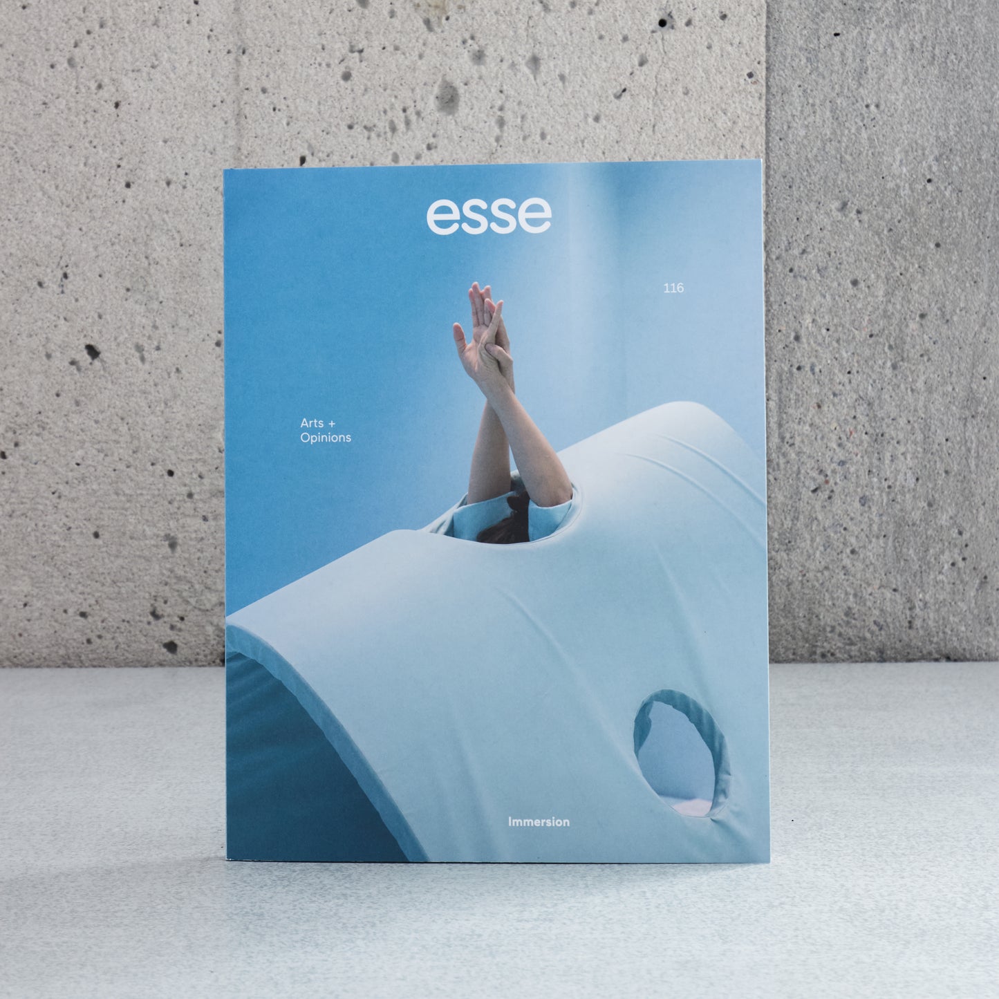 Esse n°116 - Immersion (Hiv2026)