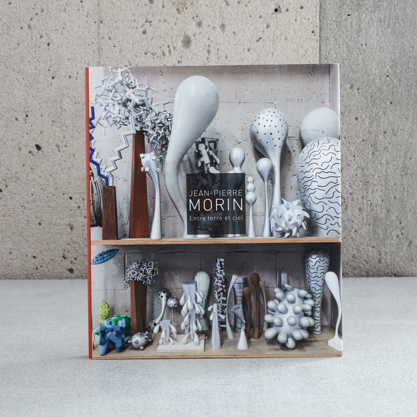 Jean-Pierre Morin : Entre terre et ciel