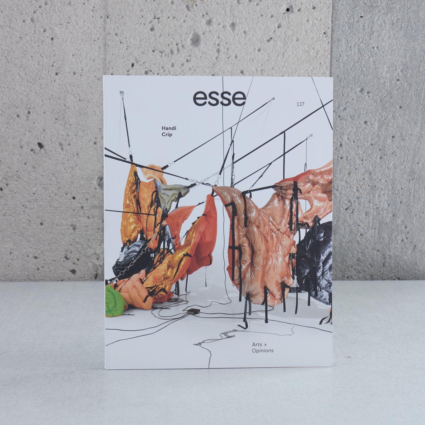 Esse n°117 - Handi / Crip (prin-été2026)