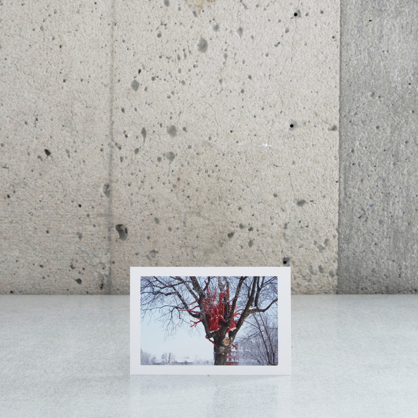 Carte postale "Wildfire, 2009" - Shayne Dark